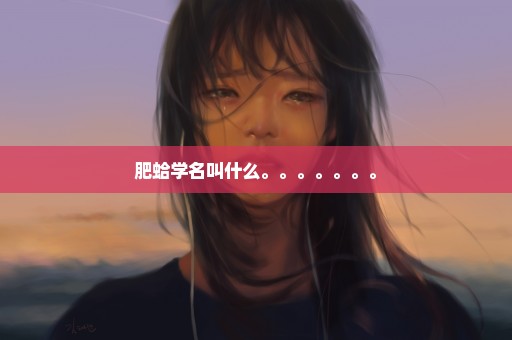 肥蛤学名叫什么。。。。。。。