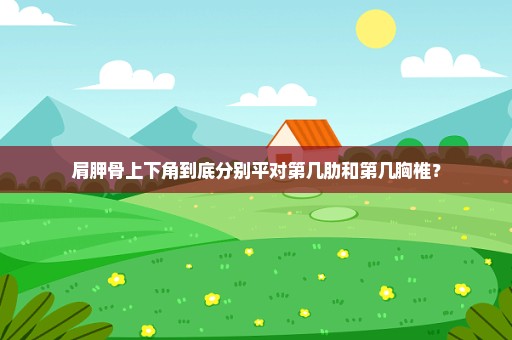 肩胛骨上下角到底分别平对第几肋和第几胸椎？