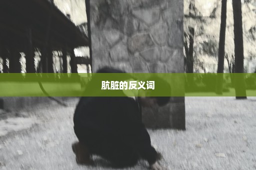 肮脏的反义词