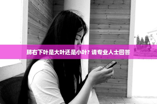 肺右下叶是大叶还是小叶? 请专业人士回答