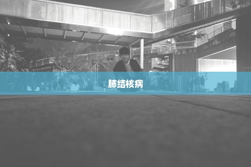 肺结核病