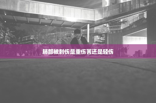 肺部被刺伤是重伤害还是轻伤