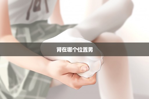 肾在哪个位置男
