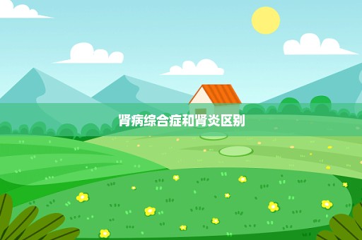 肾病综合症和肾炎区别