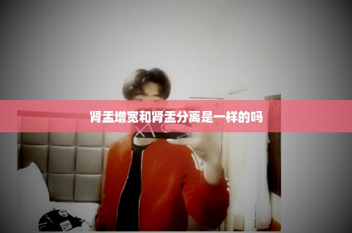 肾盂增宽和肾盂分离是一样的吗