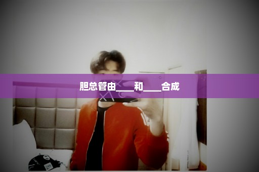 胆总管由____和____合成