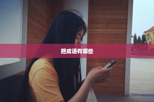 胆成语有哪些