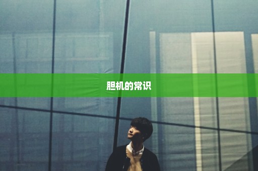 胆机的常识