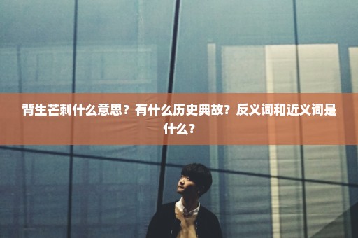 背生芒刺什么意思？有什么历史典故？反义词和近义词是什么？
