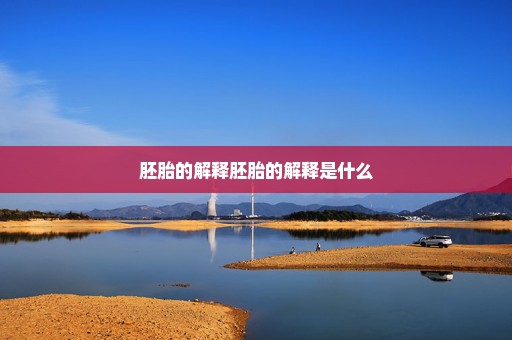 胚胎的解释胚胎的解释是什么