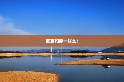 胚芽和芽一样么?