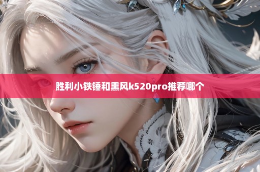 胜利小铁锤和熏风k520pro推荐哪个