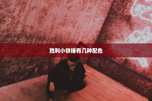 胜利小铁锤有几种配色