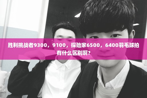 胜利挑战者9300，9100，探险家6500，6400羽毛球拍有什么区别啊？