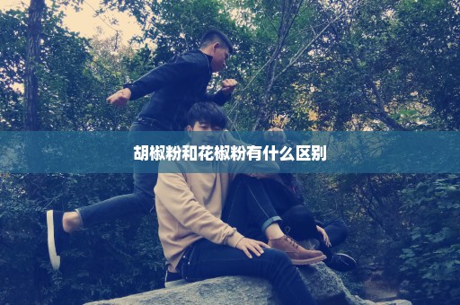 胡椒粉和花椒粉有什么区别
