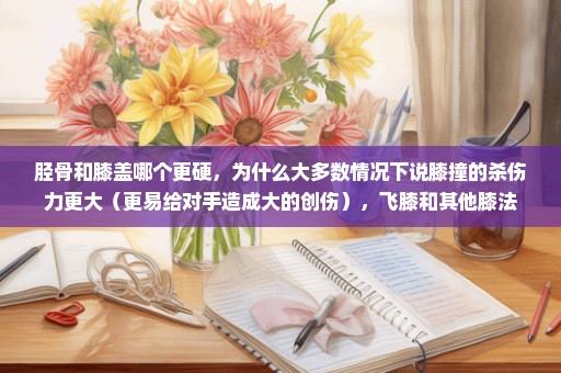 胫骨和膝盖哪个更硬，为什么大多数情况下说膝撞的杀伤力更大（更易给对手造成大的创伤），飞膝和其他膝法
