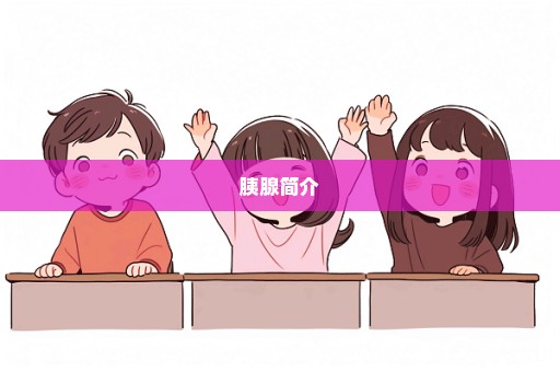 胰腺简介