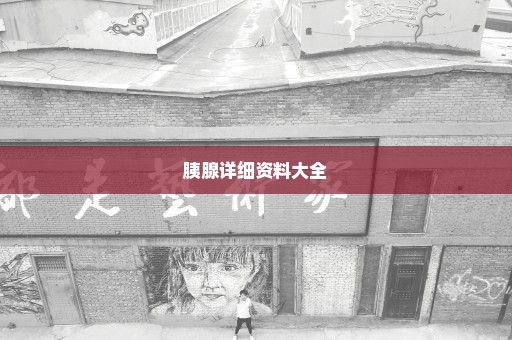 胰腺详细资料大全