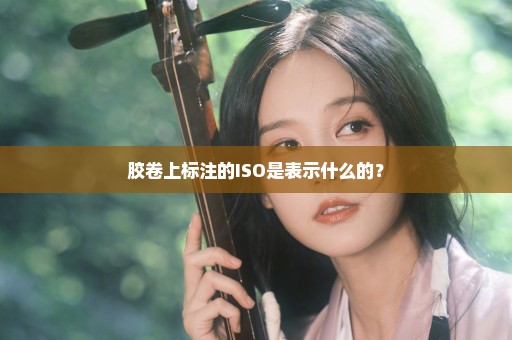 胶卷上标注的ISO是表示什么的？