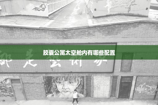 胶囊公寓太空舱内有哪些配置