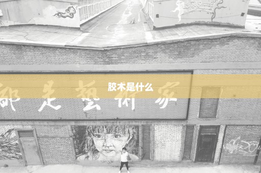 胶木是什么