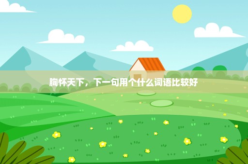 胸怀天下，下一句用个什么词语比较好