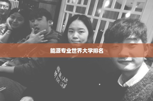 能源专业世界大学排名