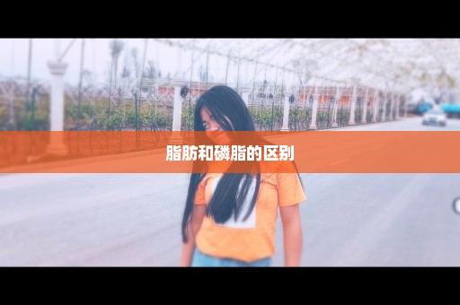 脂肪和磷脂的区别