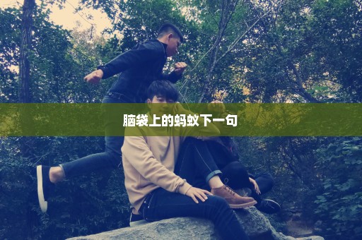 脑袋上的蚂蚁下一句