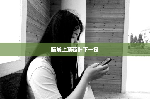 脑袋上顶荷叶下一句