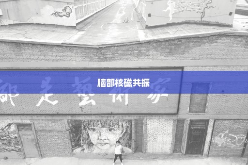 脑部核磁共振