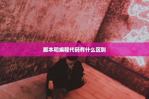 脚本和编程代码有什么区别