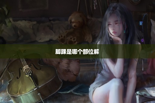 脚踝是哪个部位解