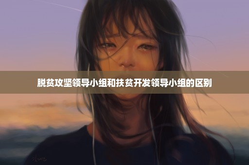 脱贫攻坚领导小组和扶贫开发领导小组的区别