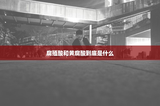 腐殖酸和黄腐酸到底是什么