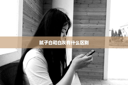 腻子白和白灰有什么区别