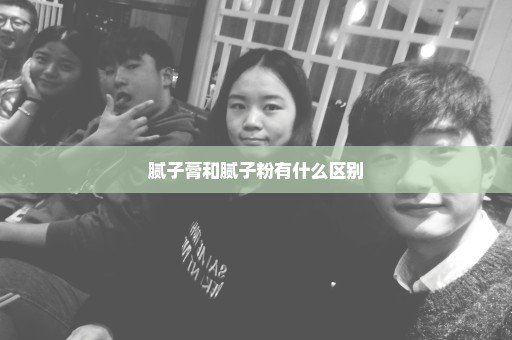 腻子膏和腻子粉有什么区别