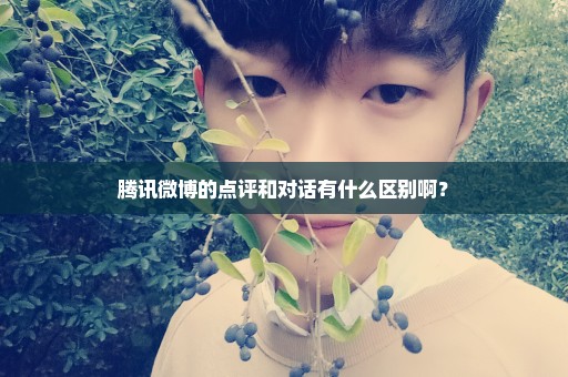 腾讯微博的点评和对话有什么区别啊？