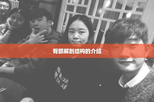 臀部解剖结构的介绍