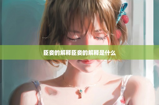 臣妾的解释臣妾的解释是什么