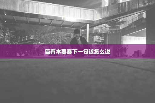 臣有本要奏下一句该怎么说