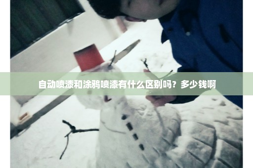 自动喷漆和涂鸦喷漆有什么区别吗？多少钱啊