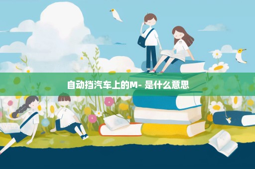 自动挡汽车上的M-+是什么意思