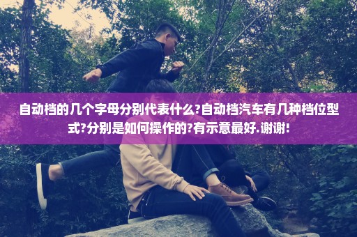 自动档的几个字母分别代表什么?自动档汽车有几种档位型式?分别是如何操作的?有示意最好.谢谢!