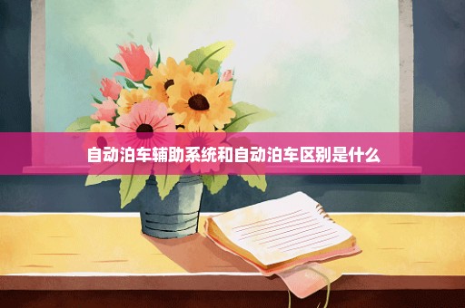 自动泊车辅助系统和自动泊车区别是什么
