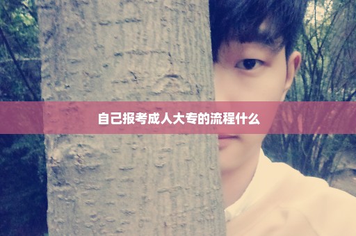 自己报考成人大专的流程什么