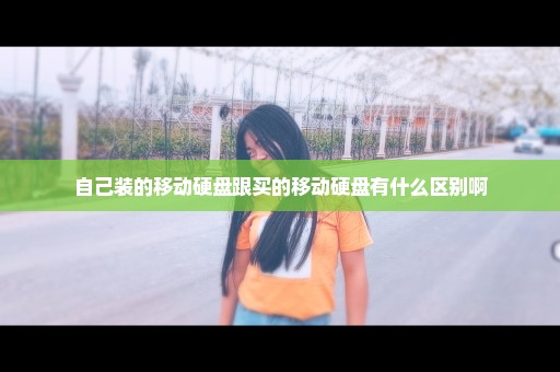 自己装的移动硬盘跟买的移动硬盘有什么区别啊