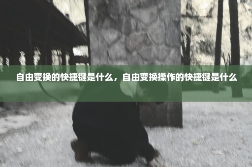 自由变换的快捷键是什么，自由变换操作的快捷键是什么 