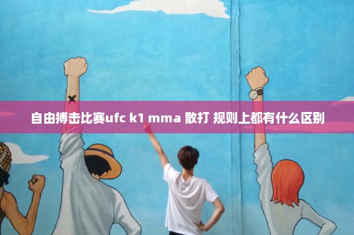 自由搏击比赛ufc k1 mma 散打 规则上都有什么区别