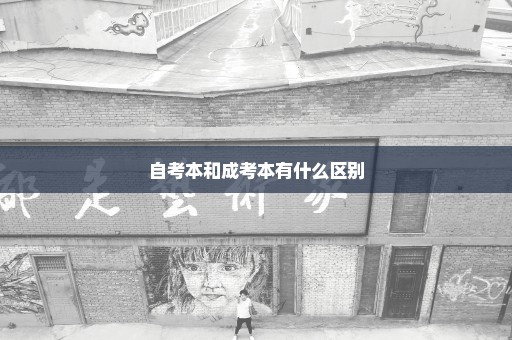 自考本和成考本有什么区别